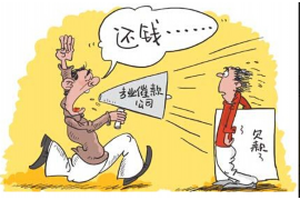 嘉鱼嘉鱼专业催债公司，专业催收